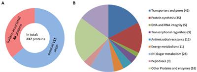 Proteomic analysis of metronidazole resistance in the human facultative pathogen Bacteroides fragilis